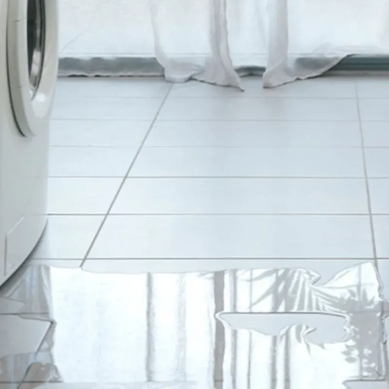 Appliance Leak Cleanup in West Canton, NC