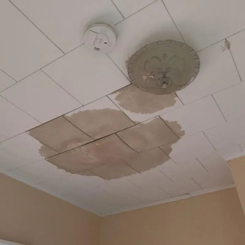 Ceiling Water Damage Repair in West Canton, NC