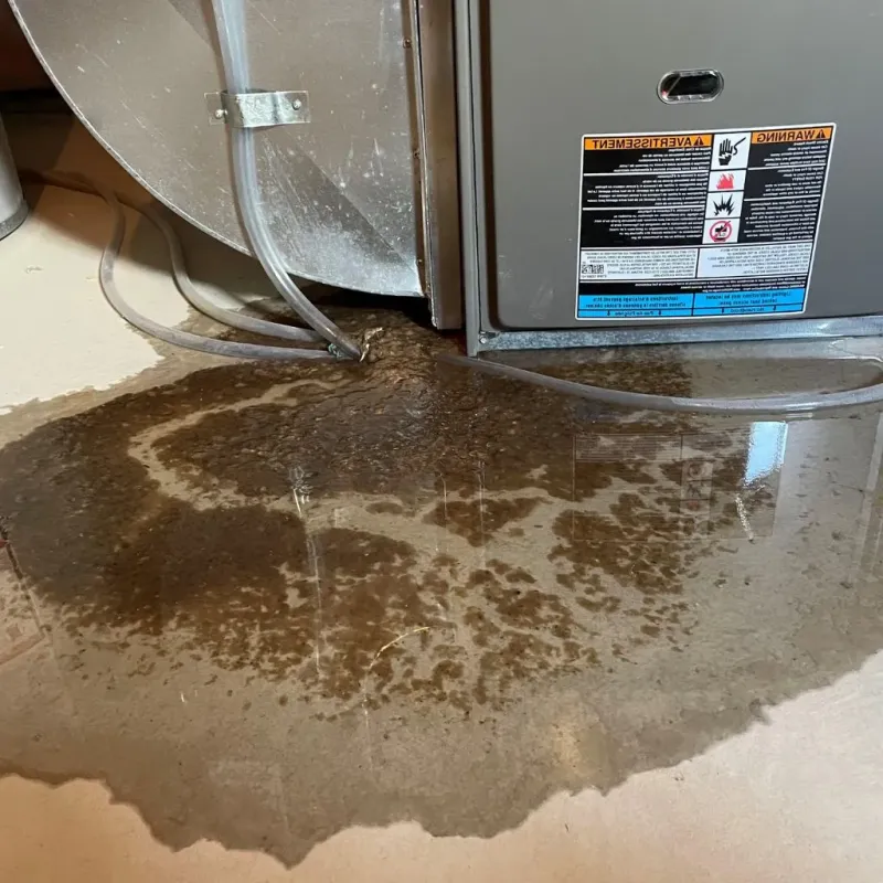 Pipe Burst and Leak Restoration in West Canton, NC
