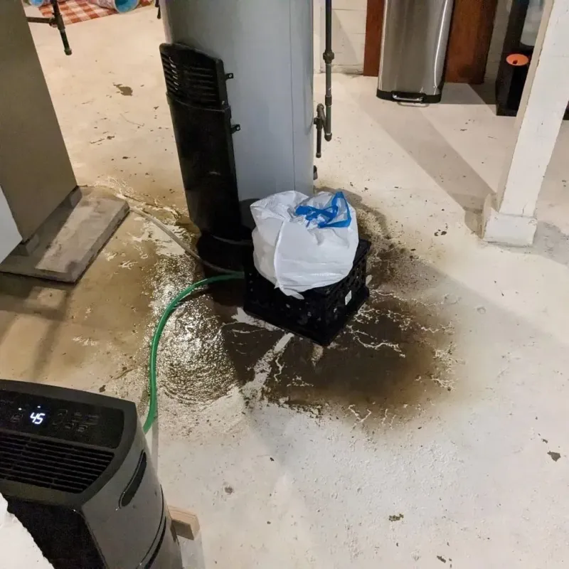 Sewage Backup Cleanup Service in West Canton, NC